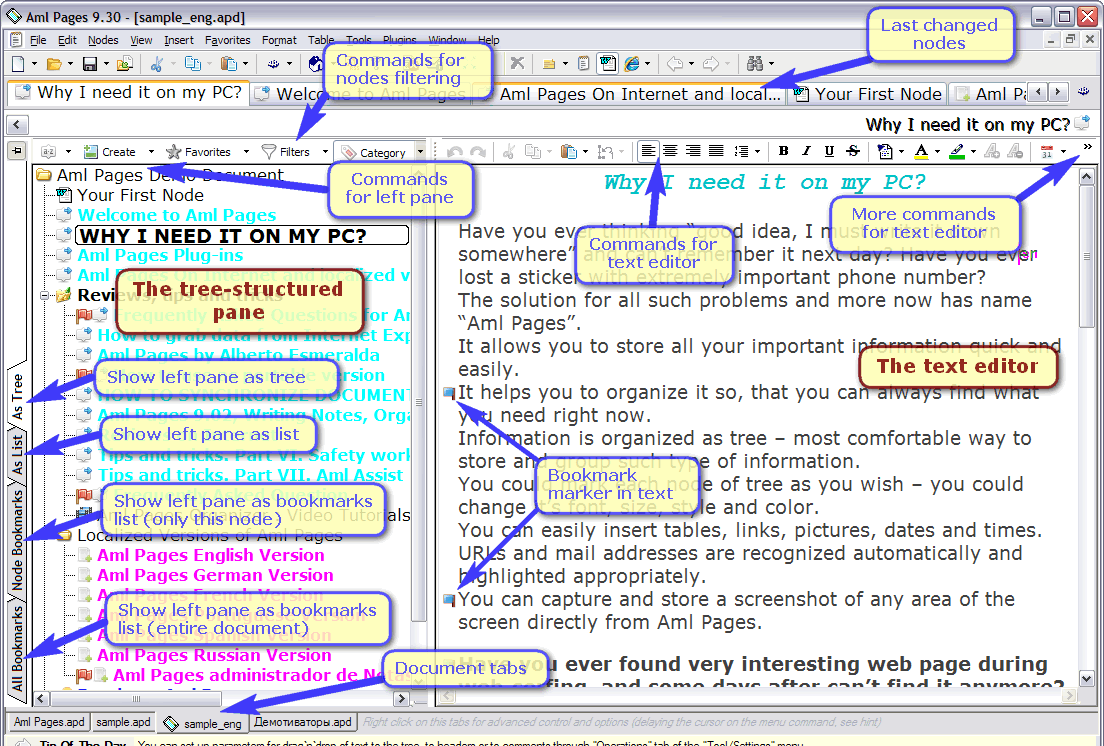 Aml Pages Key Features (click to enlarge)
