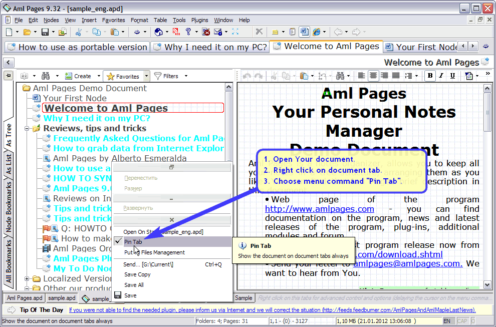How to quckly open document in Aml Pages : Pinned tabs