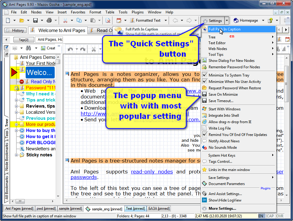 What is Quick Settings in the Aml Pages