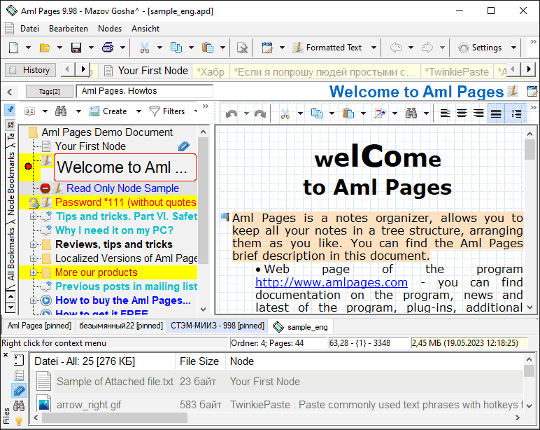 Aml Pages screenshot : Key Features