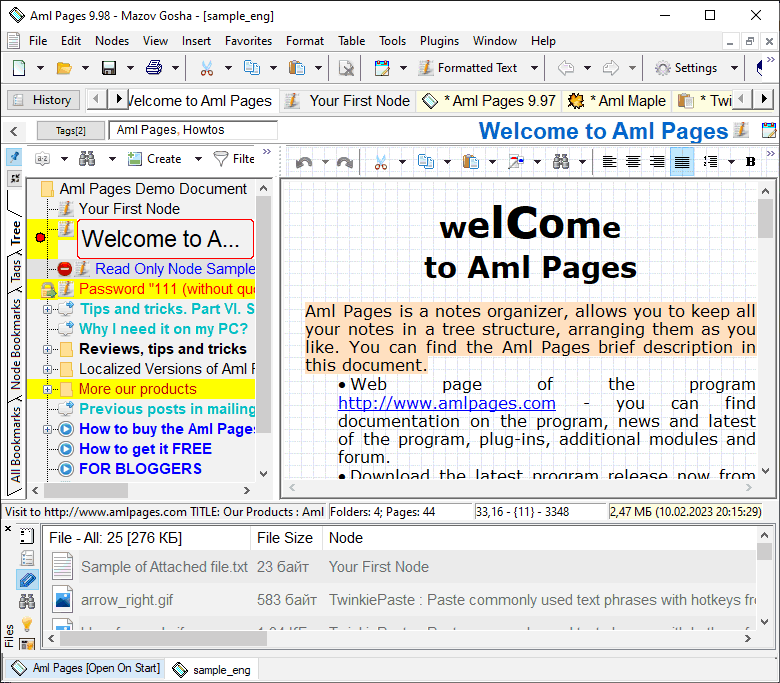Aml Pages main window