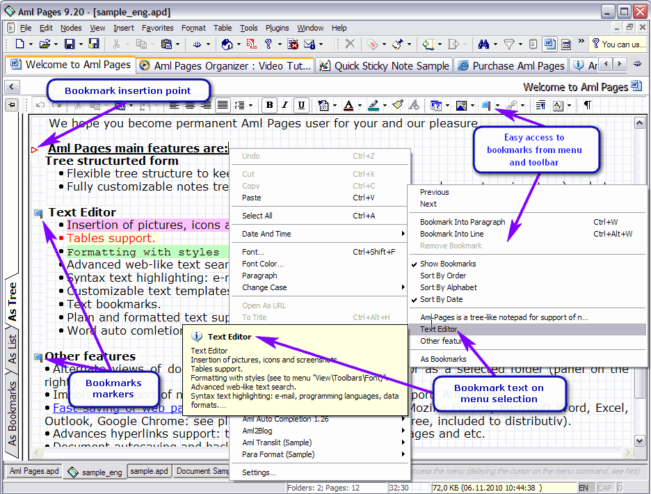 Aml Pages : Text Editor (click to enlarge)